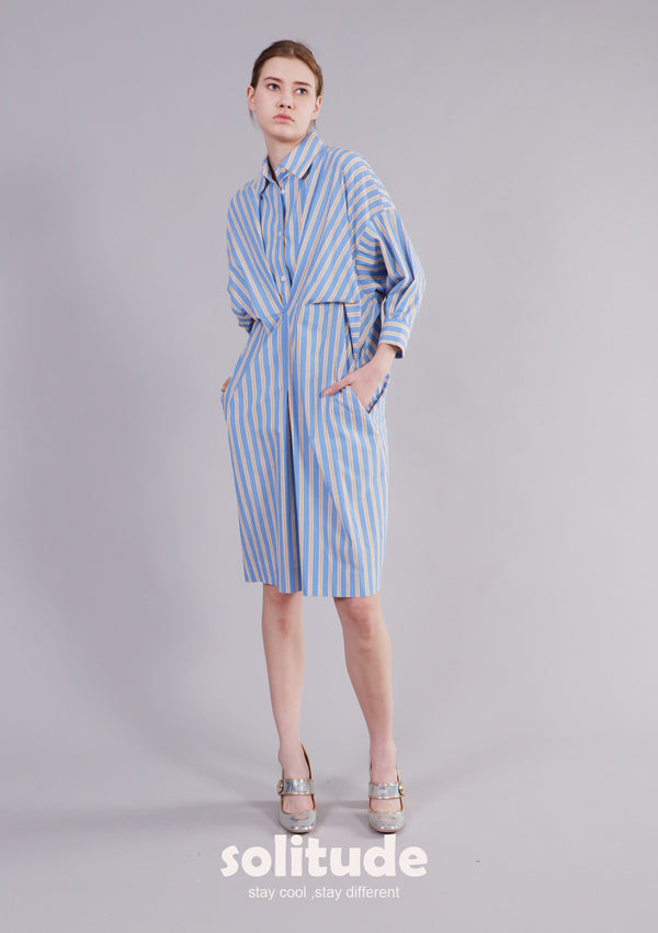 Blue Striped Shirt Dress
